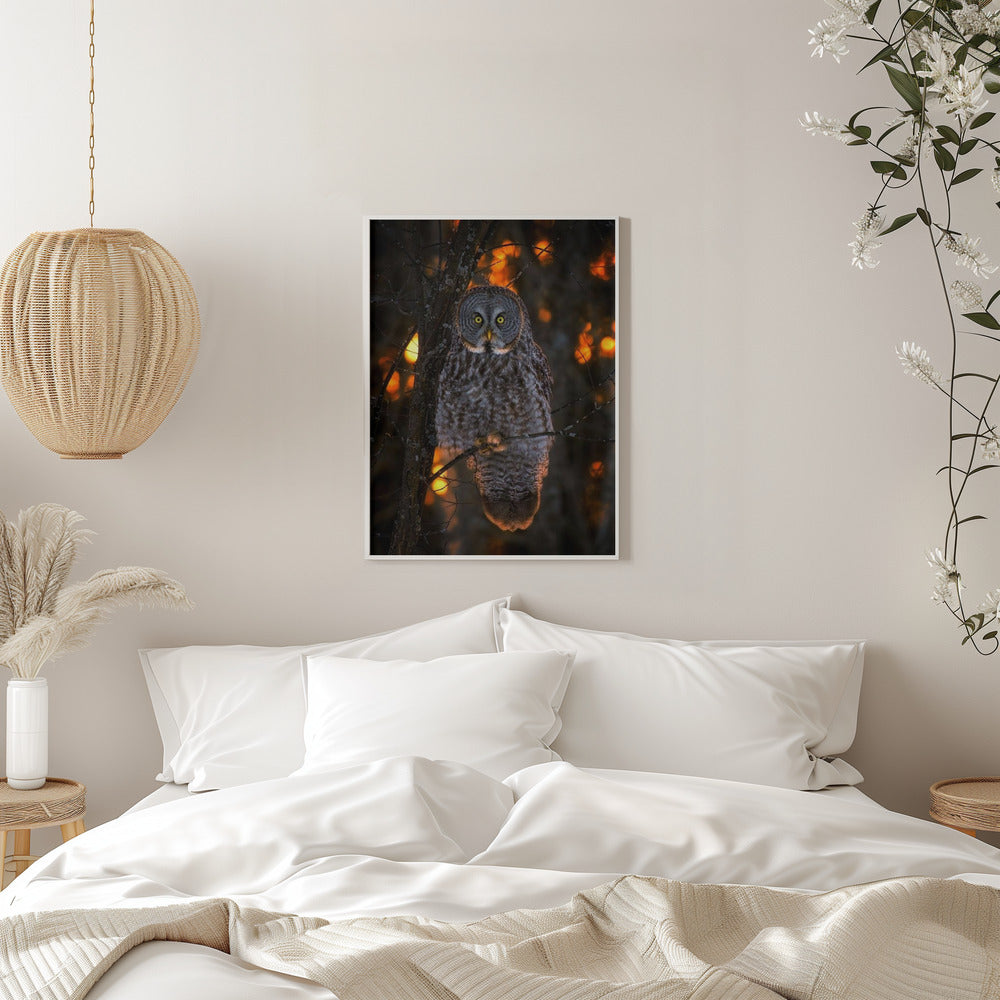 Wandbild Feierlicher Sonnenuntergang