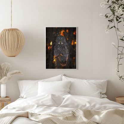 Wandbild Feierlicher Sonnenuntergang