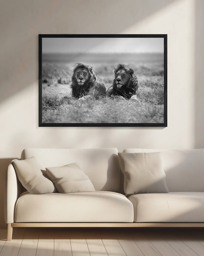 Wall art Two kings