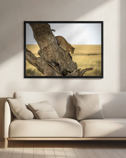 Wall art Leopard - Serengheti, Tanzania