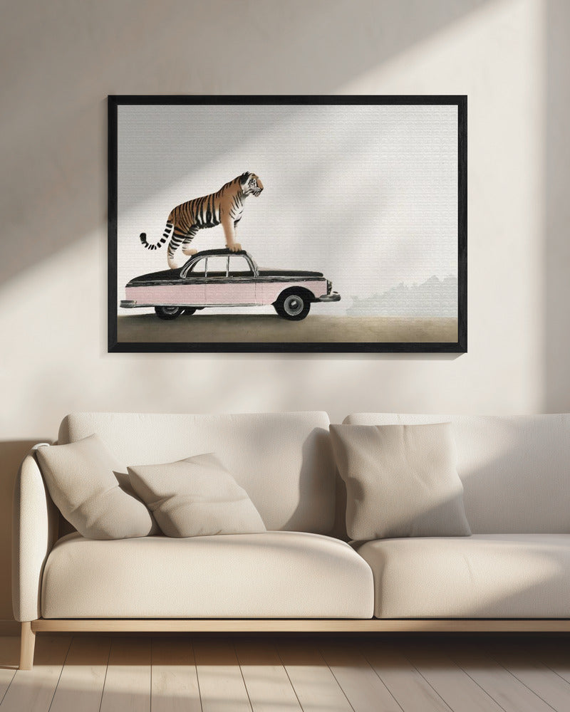 Wandbild: Tiger auf einem Autodach