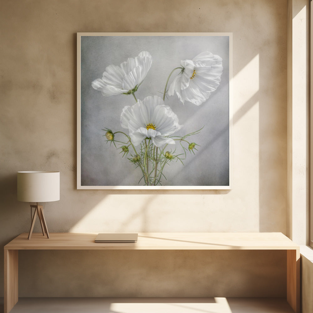 Wandkunst Kosmos Charme Irisse