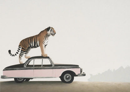 Wandbild: Tiger auf einem Autodach