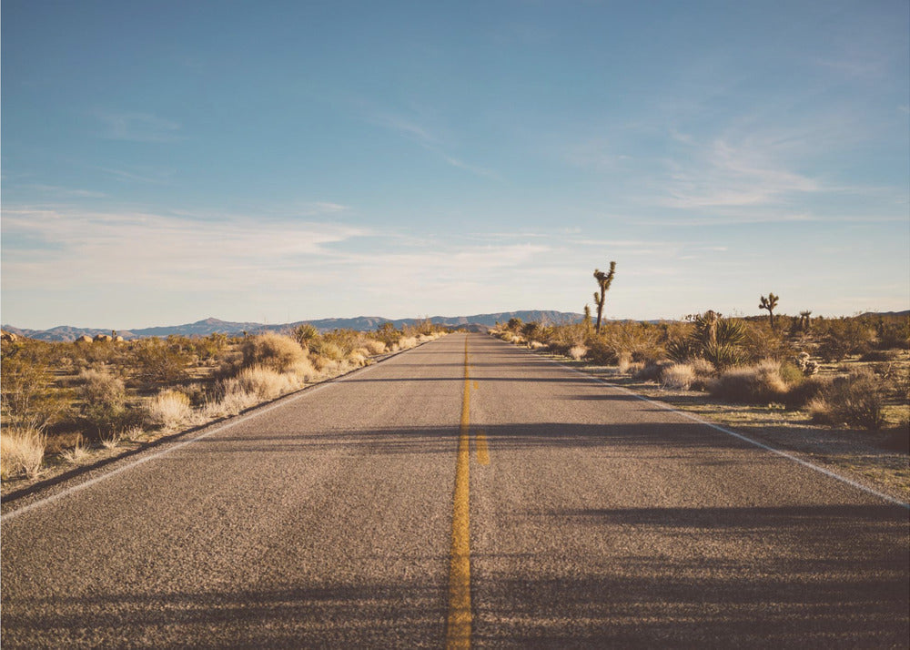 Wandbild Joshua Tree Road