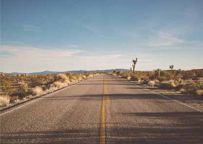 Wandbild Joshua Tree Road