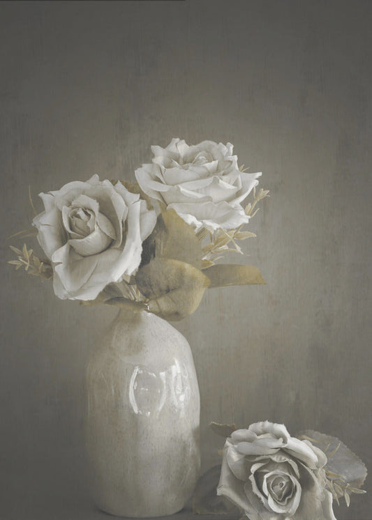 Wall Art Softened