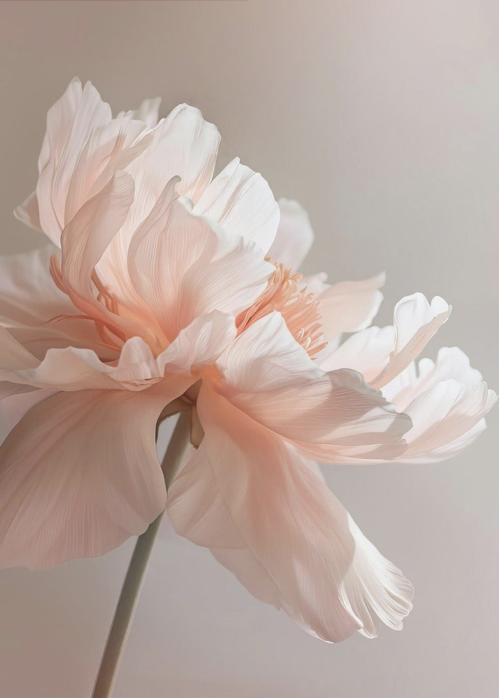 Wandkunst Petal Joy 1