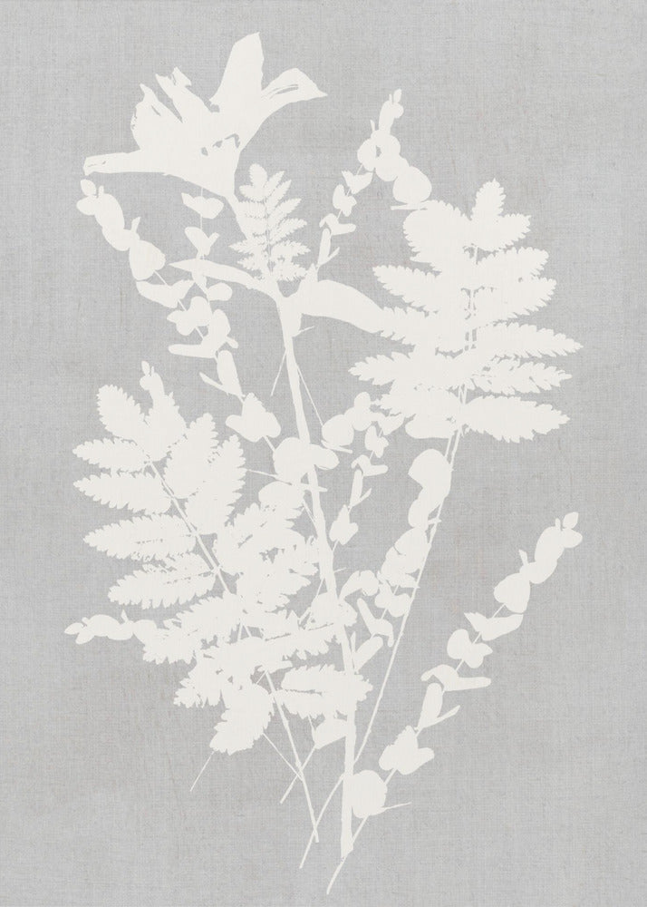Wandkunst Botanische Illustration 5