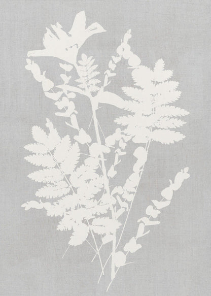 Wandkunst Botanische Illustration 5