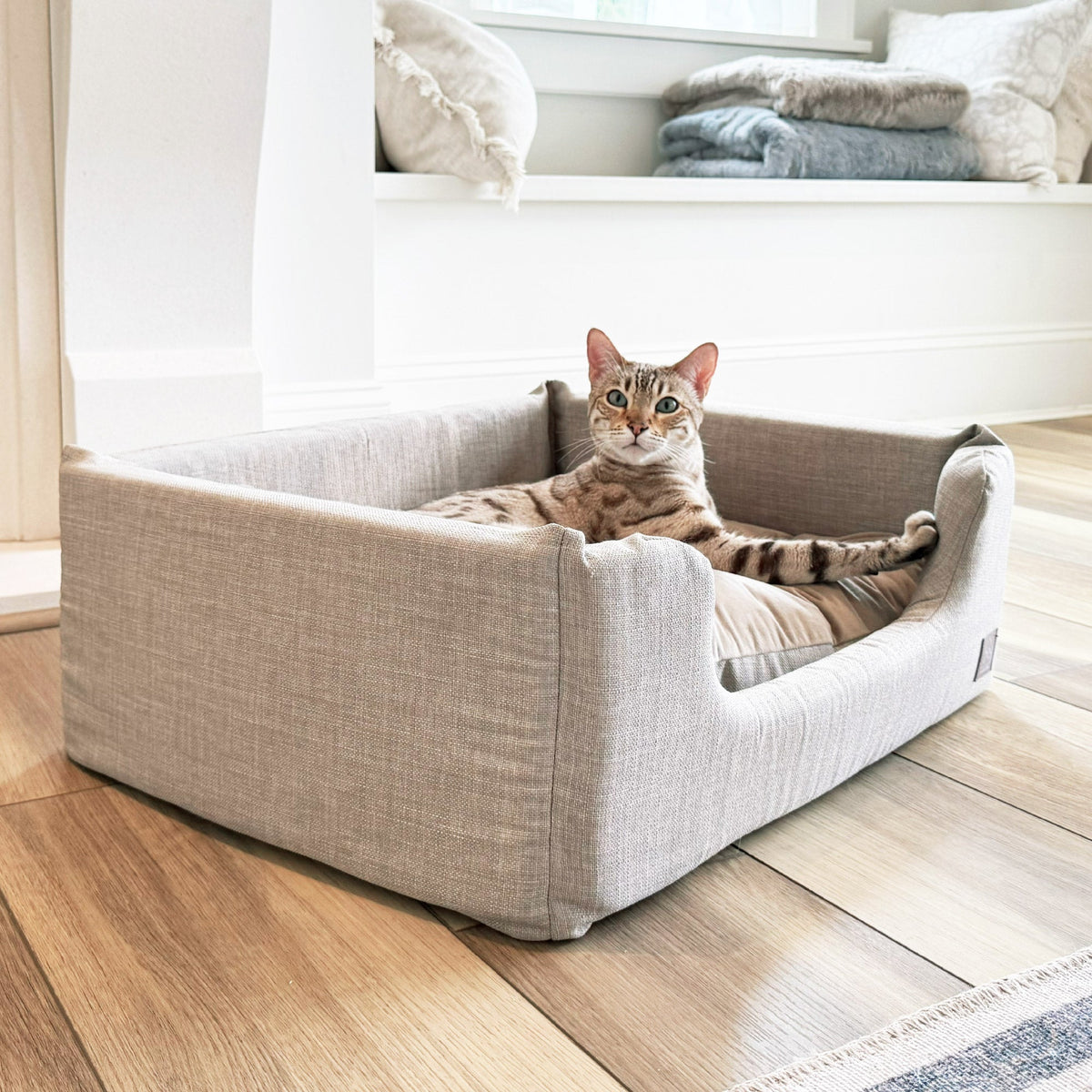sansa modern pet bed