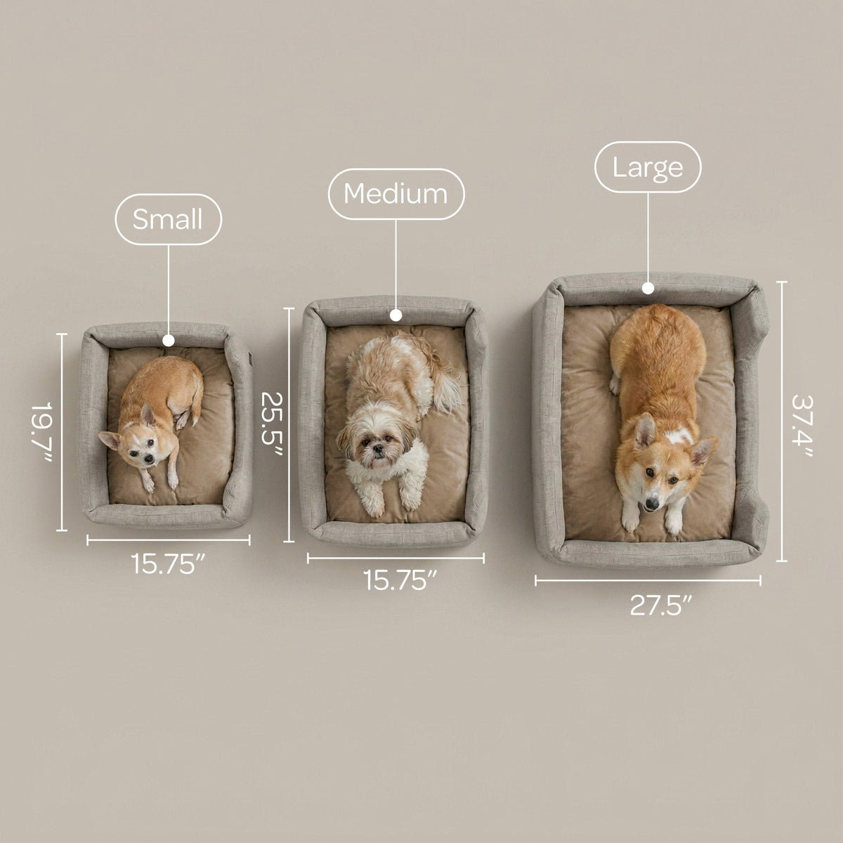 sansa modern pet bed
