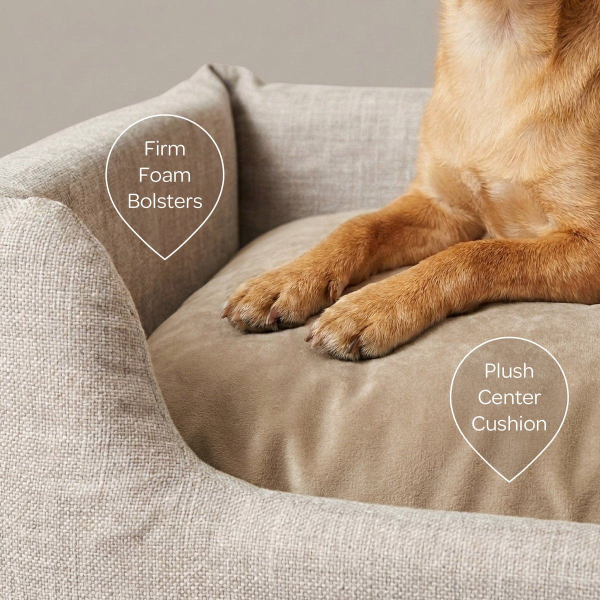 sansa modern pet bed