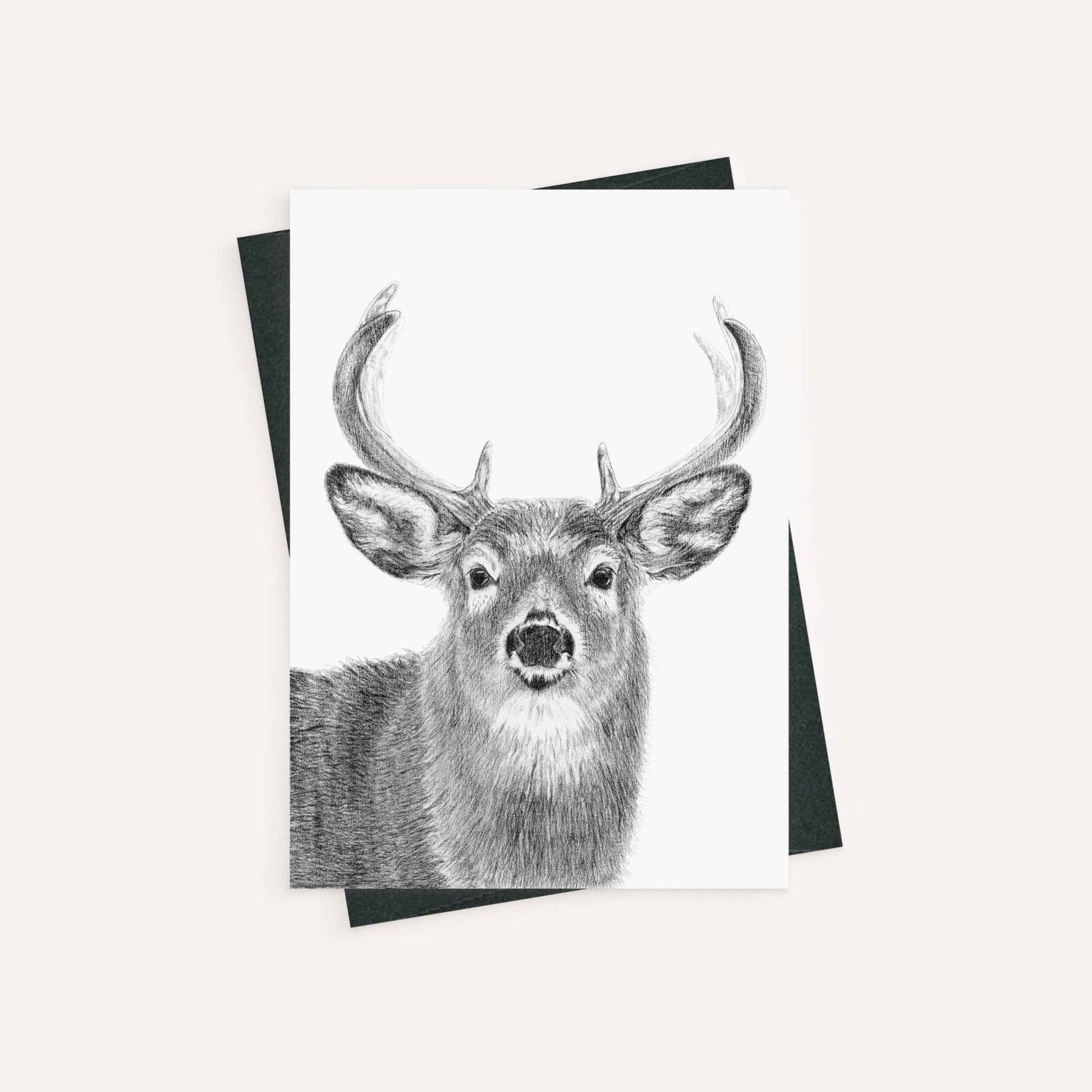 Stag - greeting card