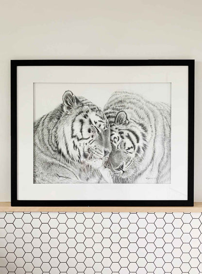 Amur Tigers - wildlife art print - collaboration with  La Fondation du Zoo de Granby
