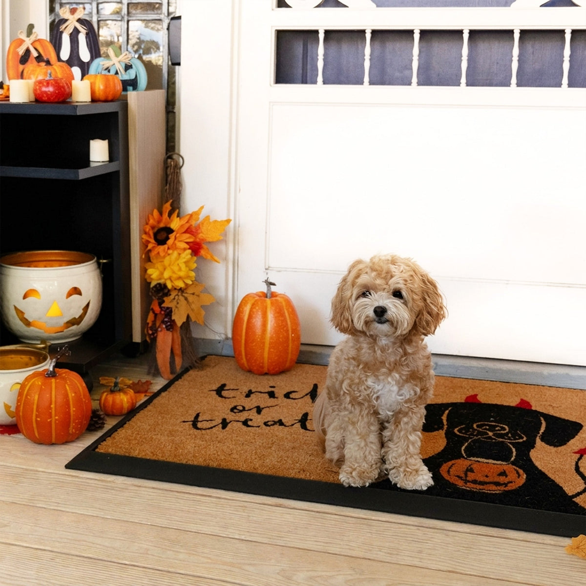 trick or treat+dog rectangular doormat set
