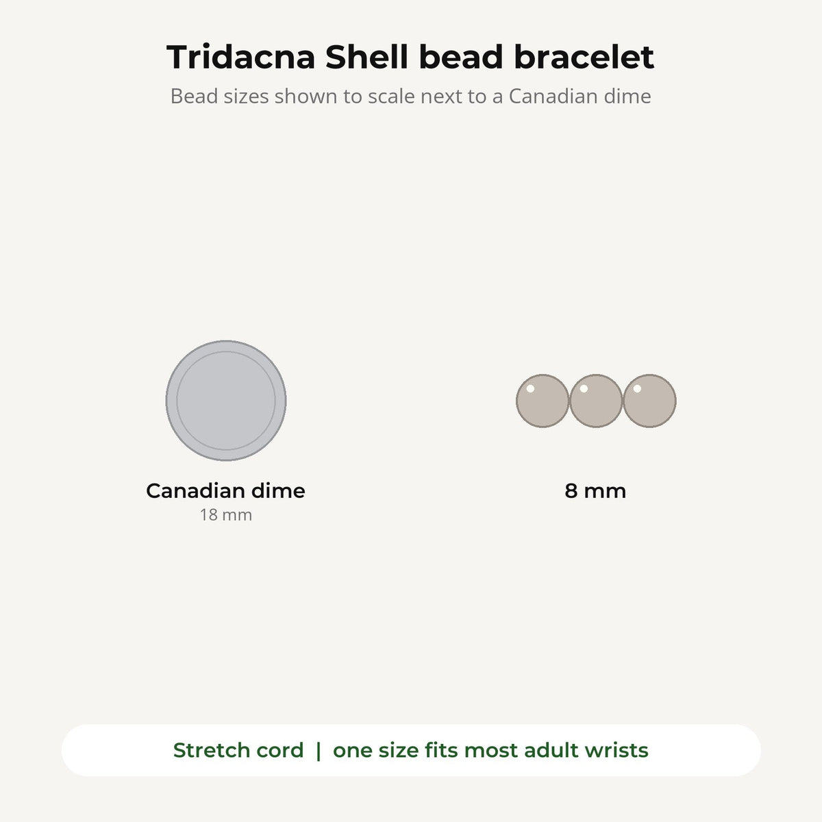 Tridacna Round Bracelet - 8mm