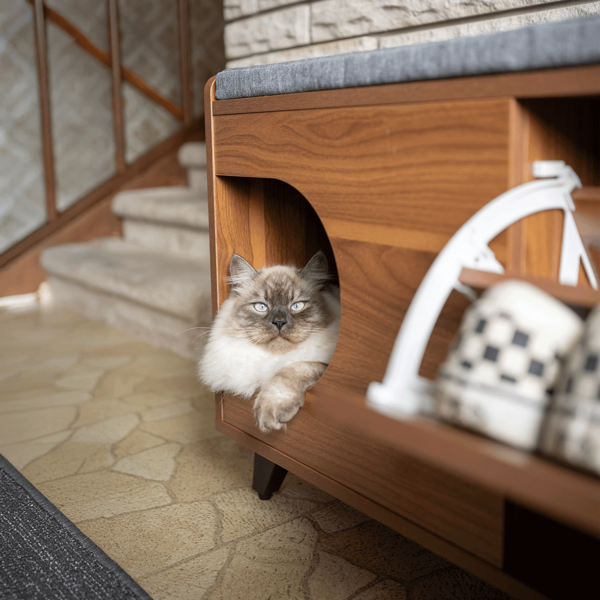 tucker shoe cabinet