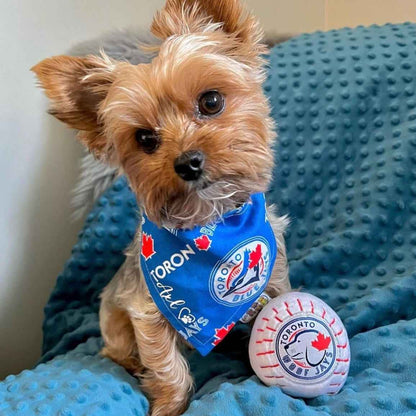 NEW INDESTRUCIBLE Toronto Woofjays Dog Toy