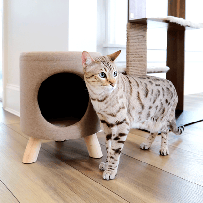wallie pet stool