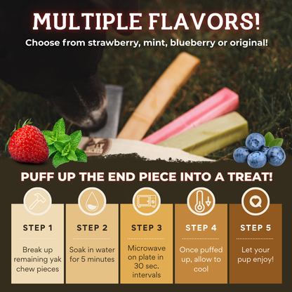 Mint Himalayan Yak Chew (MEDIUM)