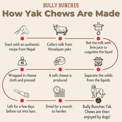 Himalayan Yak Chew Flavour Pack